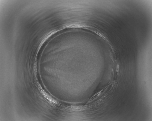 X0000086050976200703301101