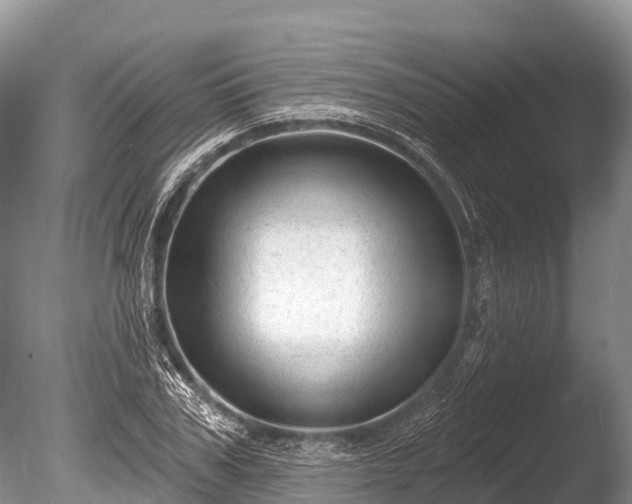 X0000086050979200703301101