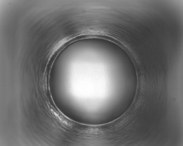 X0000086050982200703301101