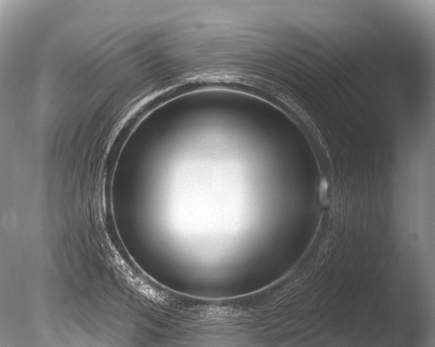 X0000086050984200703301101