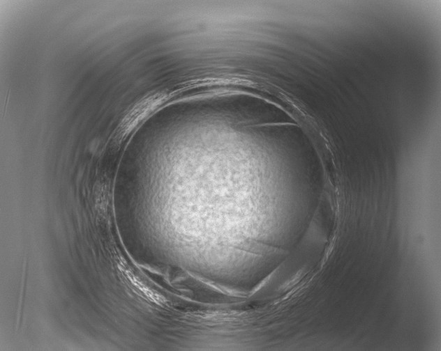 X0000086050985200703301101