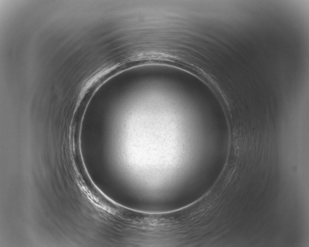 X0000086050987200703301101