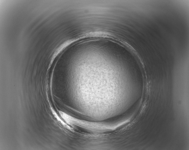 X0000086050989200703301101