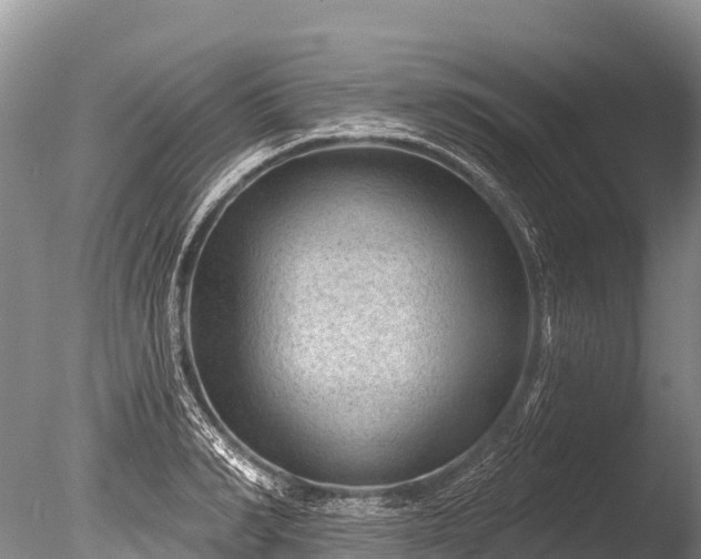 X0000086050990200703301101