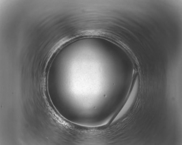 X0000086050992200703301101