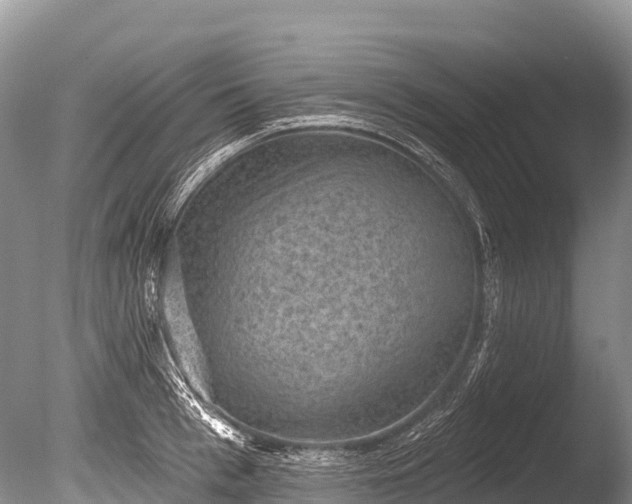 X0000086050993200703301101