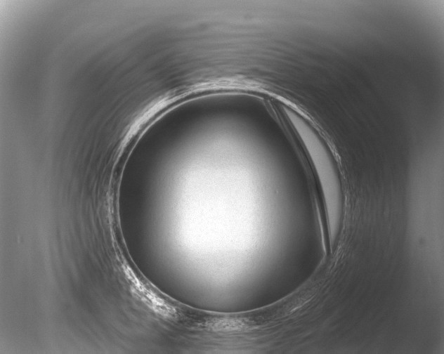 X0000086050998200703301101