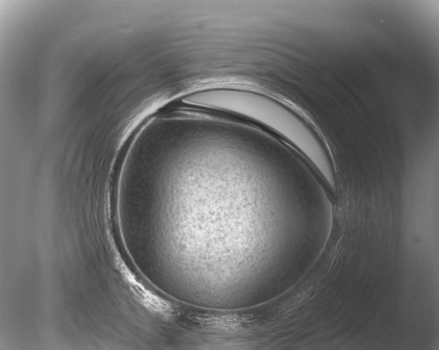 X0000086050999200703301101