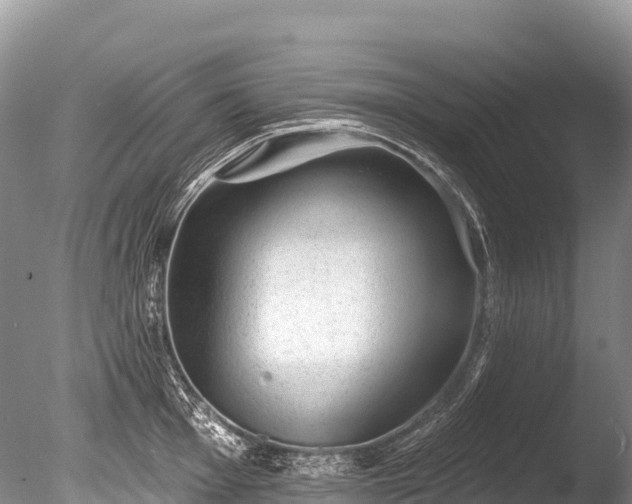 X0000086051001200703301101