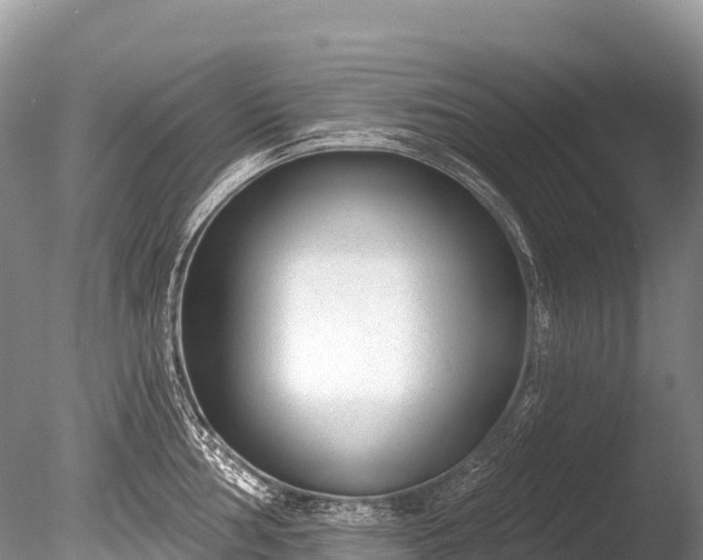 X0000086051002200703301101