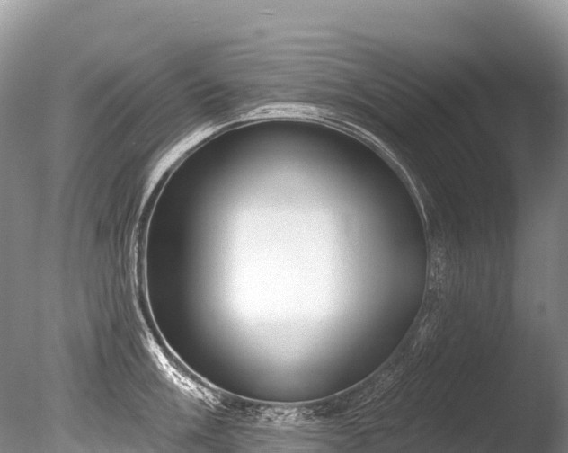 X0000086051003200703301101