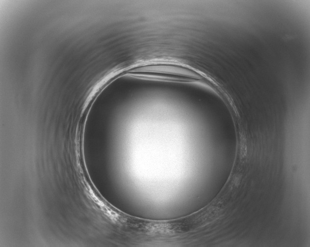 X0000086051006200703301101