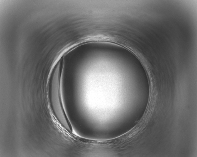 X0000086051008200703301101