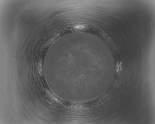 X0000086051011200703301100
