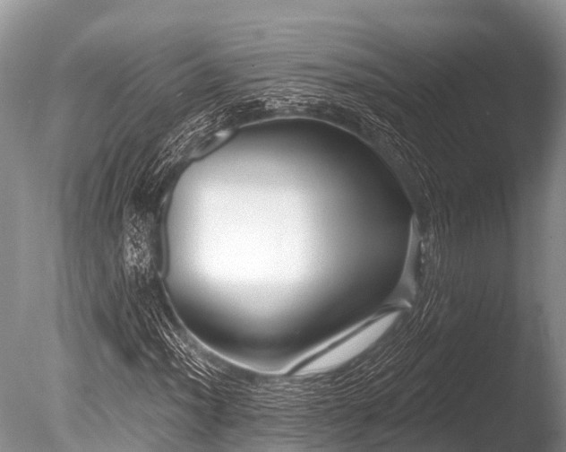X0000086051012200703301100