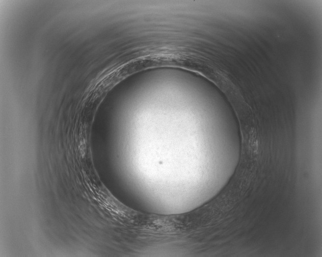 X0000086051015200703301100
