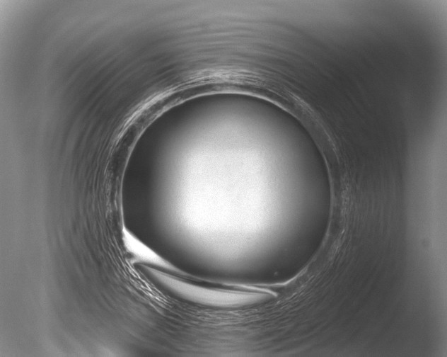 X0000086051019200703301100