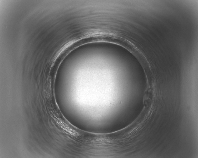 X0000086051021200703301100