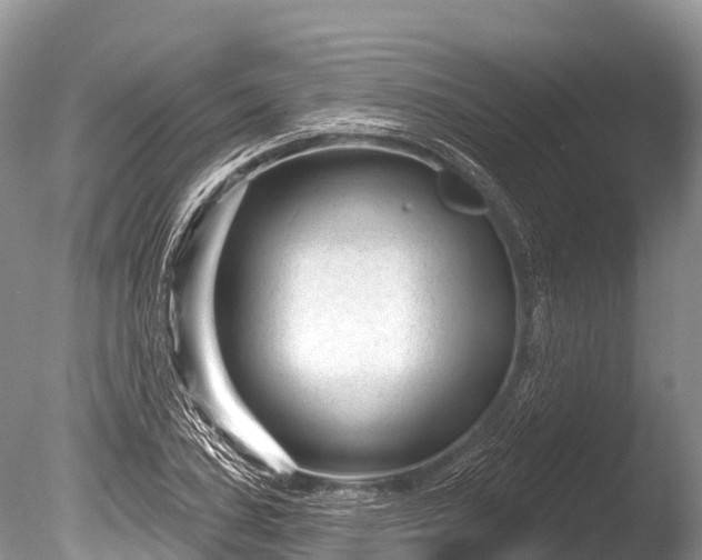 X0000086051027200703301100