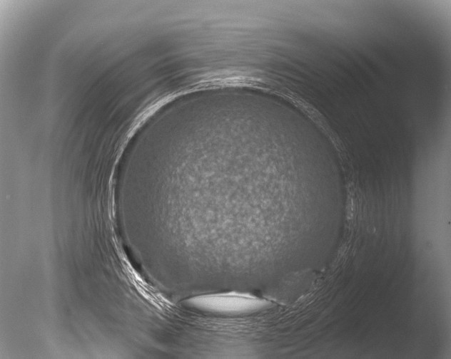 X0000086051031200703301100