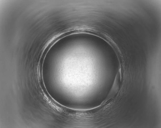 X0000086051032200703301100