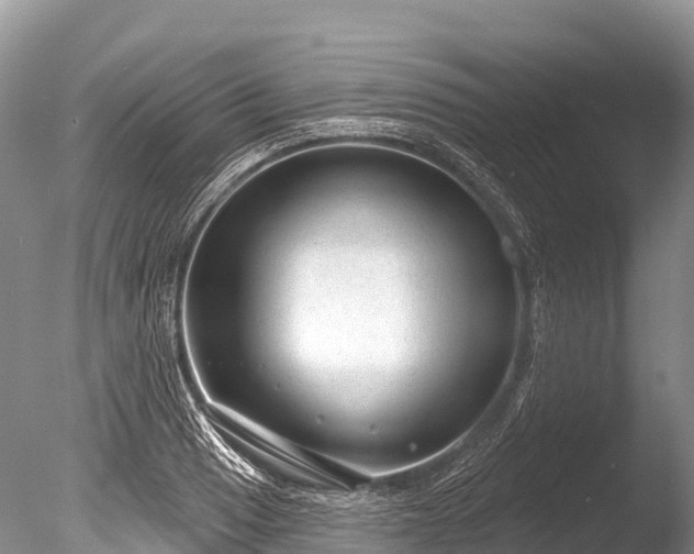 X0000086051033200703301100