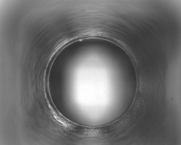 X0000086051039200703301100