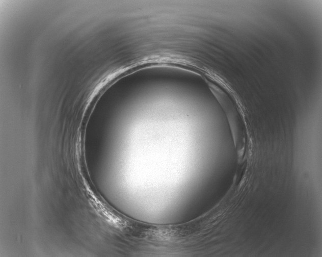 X0000086051040200703301100