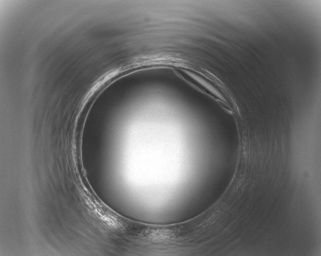X0000086051043200703301100