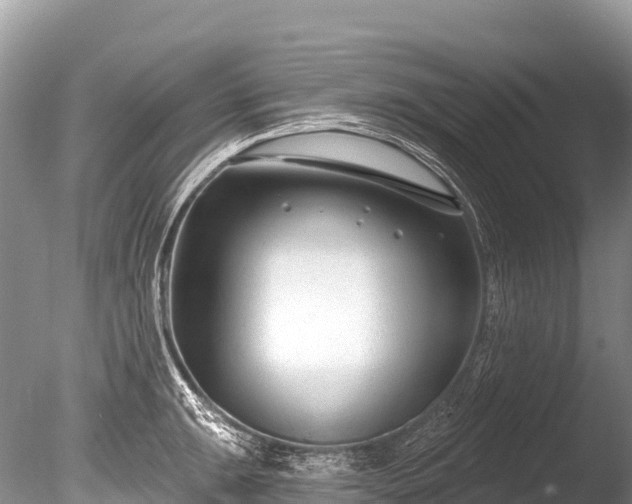 X0000086051047200703301101