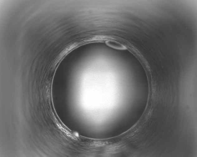 X0000086051049200703301101