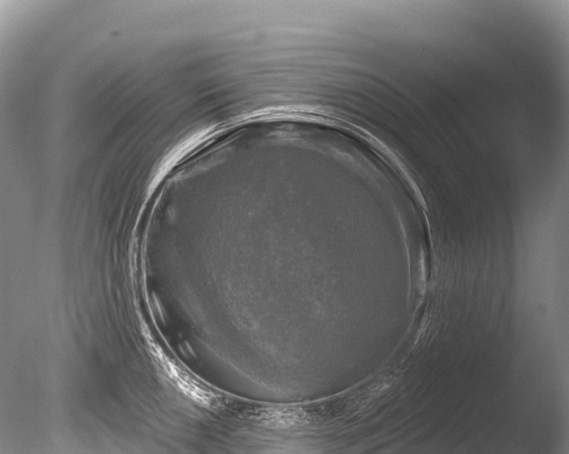X0000086051050200703301101