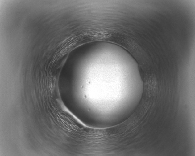 X0000086051058200703301100