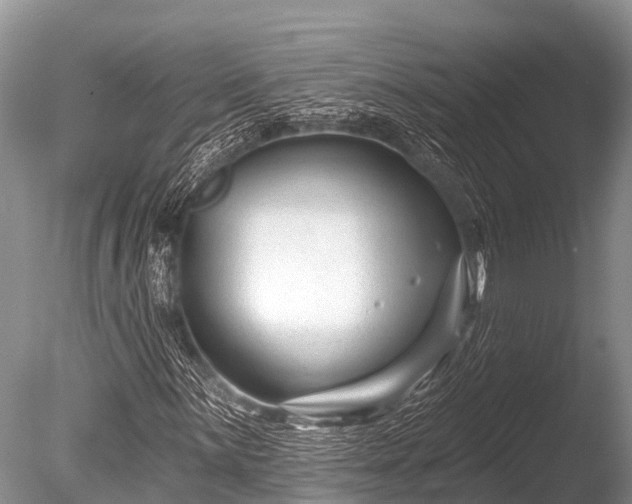 X0000086051059200703301100
