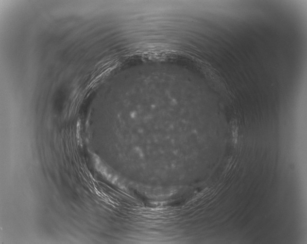X0000086051060200703301100