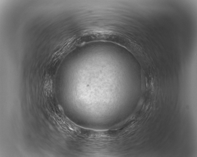 X0000086051061200703301100