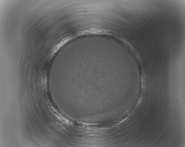 X0000086051065200703301100