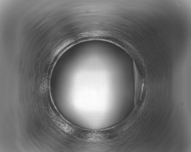 X0000086051073200703301100