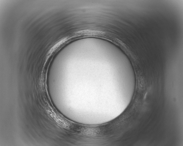 X0000086051074200703301100