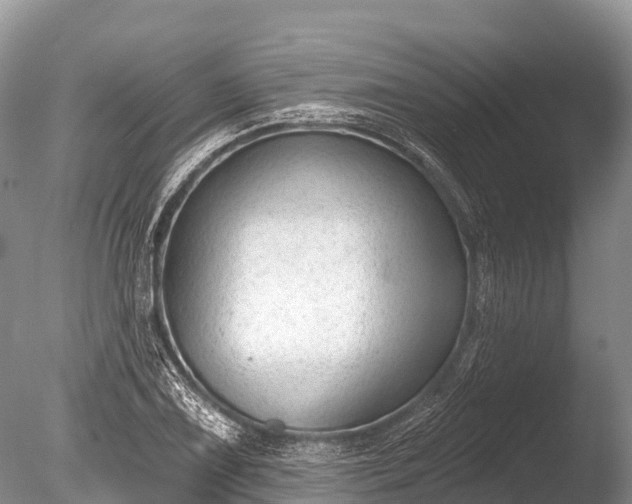 X0000086051075200703301100