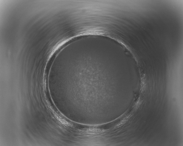 X0000086051077200703301100