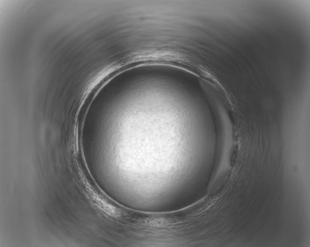 X0000086051079200703301059