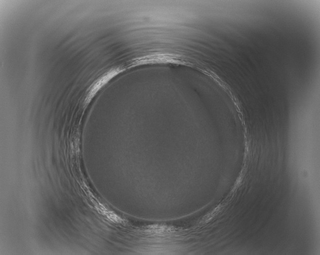 X0000086051081200703301059