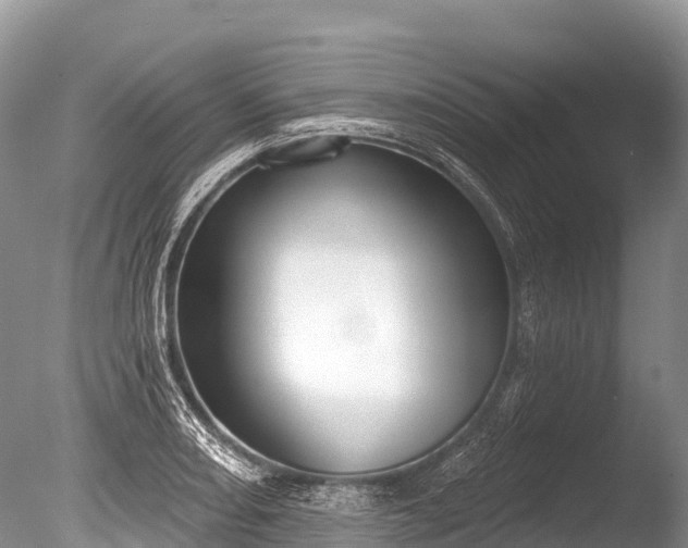 X0000086051082200703301059