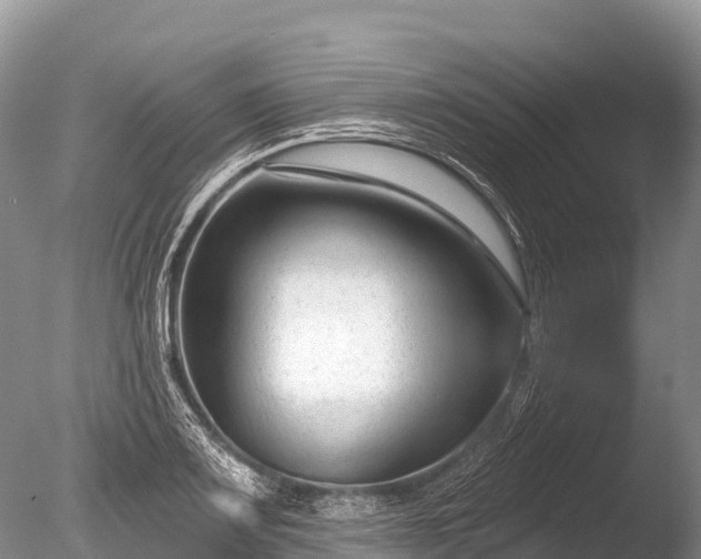 X0000086051083200703301059