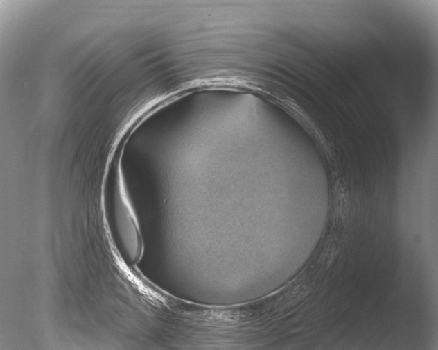 X0000086051084200703301059