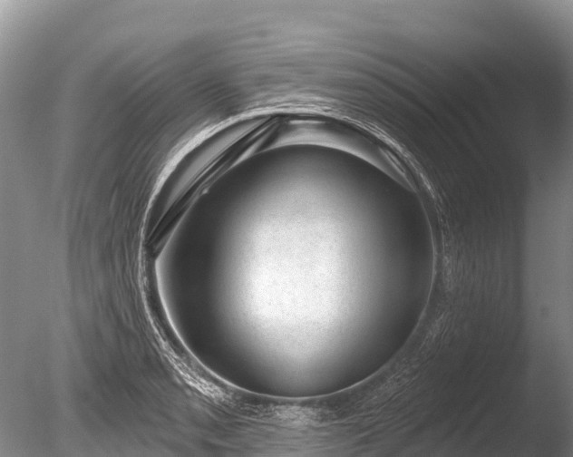 X0000086051085200703301059