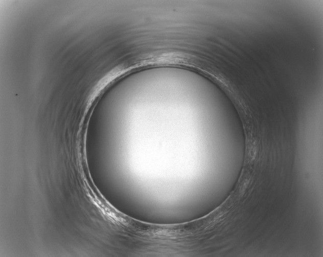 X0000086051086200703301059