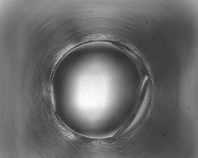 X0000086051089200703301059