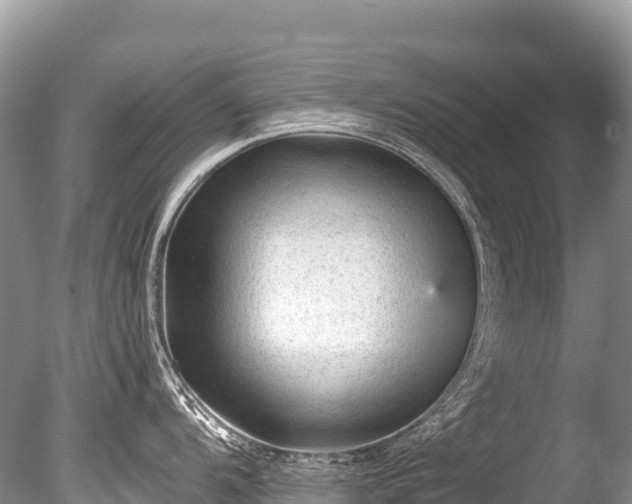 X0000086051104200703301059